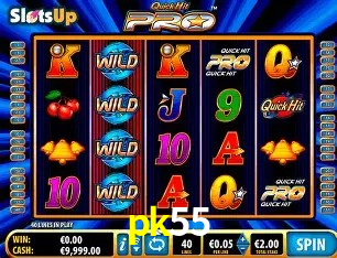 Exclusive Offers pk55