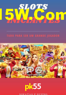 Premium Interface pk55